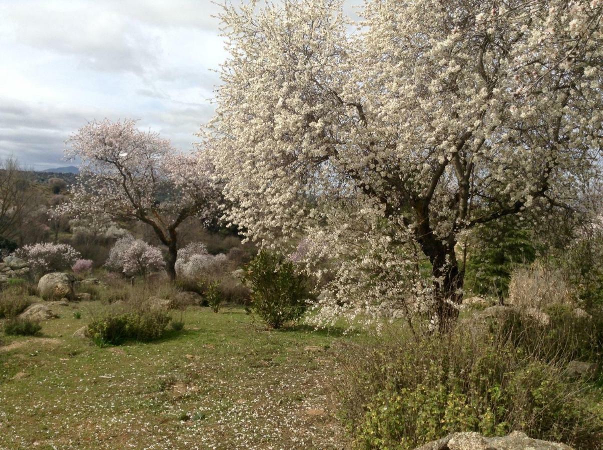 Finca El Cerco A 5M De Puy Du Fou Y 10M A Casco Antiguo De Toledo Villa Arges Luaran gambar