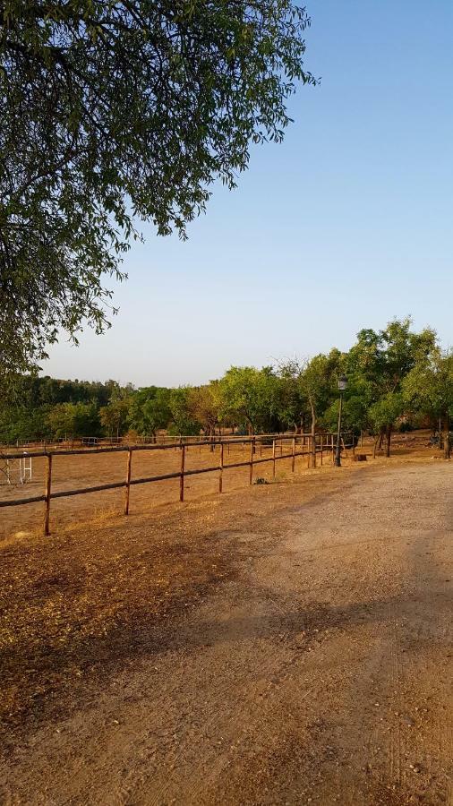 Finca El Cerco A 5M De Puy Du Fou Y 10M A Casco Antiguo De Toledo Villa Arges Luaran gambar